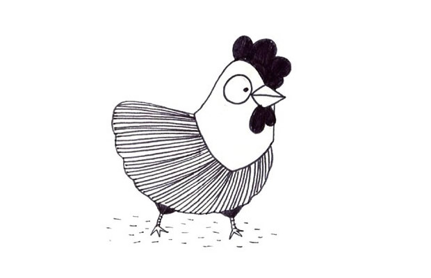 9张各不相同的公鸡简笔画大全