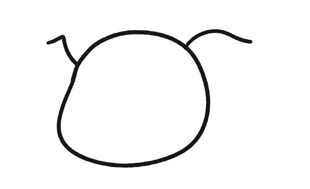 带颜色的可爱小猪简笔画教程