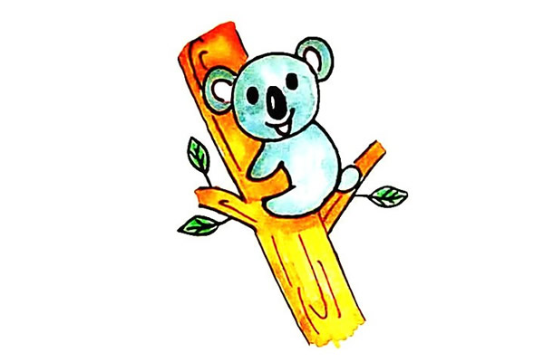 可爱的树袋熊简笔画画法步骤