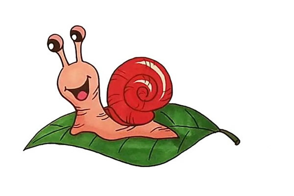 树叶上的蜗牛简笔画步骤