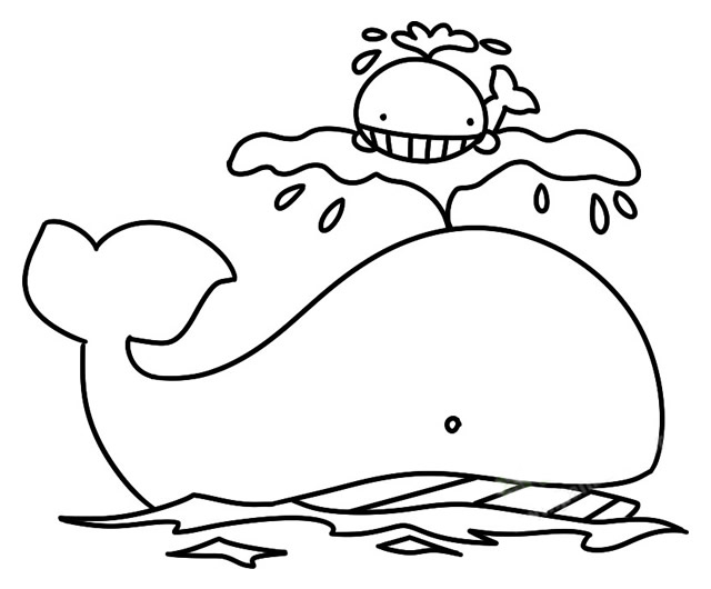 有趣的鲸鱼简笔画步骤 有趣的鲸鱼简笔画步骤