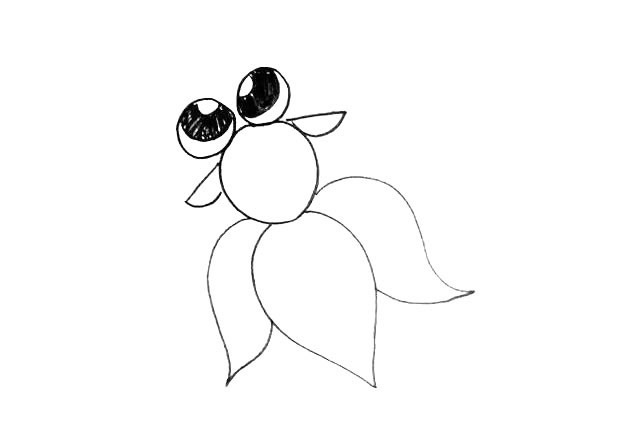 色彩鲜艳的大眼金鱼简笔画