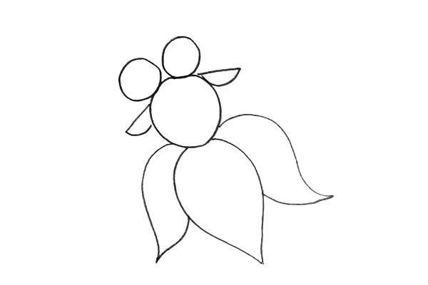 色彩鲜艳的大眼金鱼简笔画