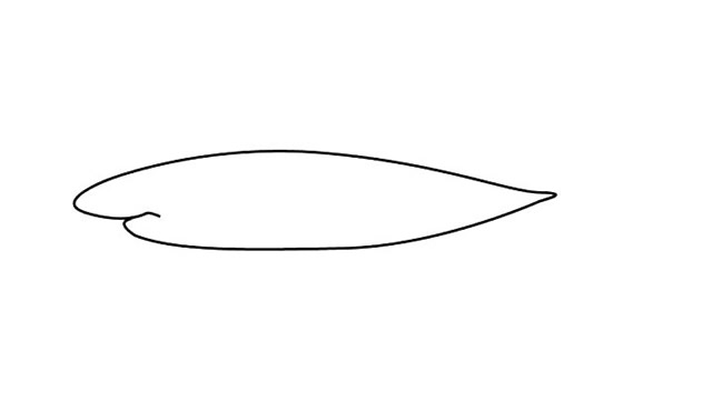 涂色的大白鲨简笔画步骤