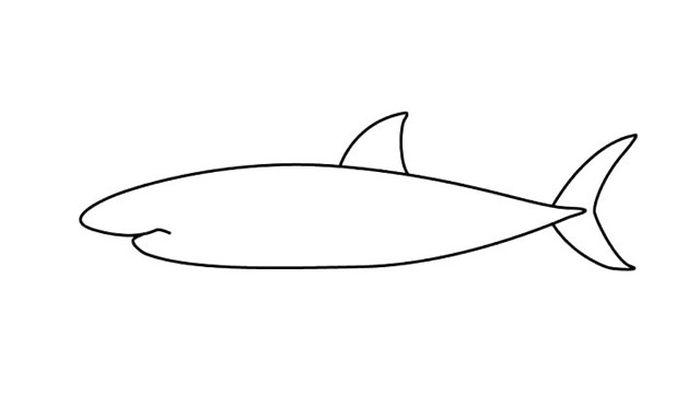 涂色的大白鲨简笔画步骤