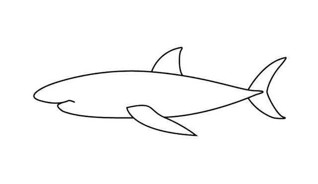 涂色的大白鲨简笔画步骤