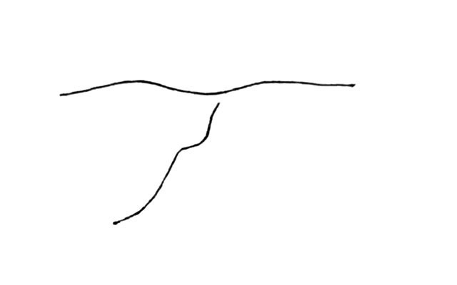 飞翔的丹顶鹤简笔画步骤