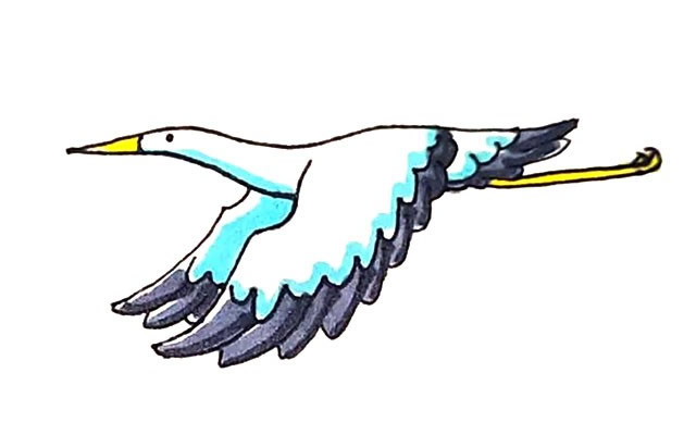飞翔的丹顶鹤简笔画步骤