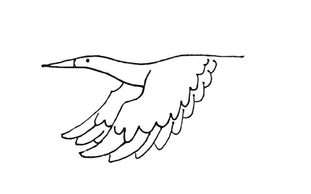 飞翔的丹顶鹤简笔画步骤