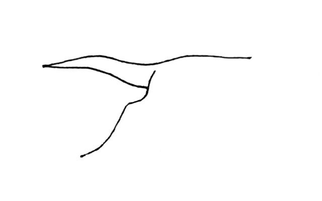 飞翔的丹顶鹤简笔画步骤