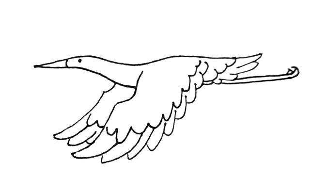 飞翔的丹顶鹤简笔画步骤