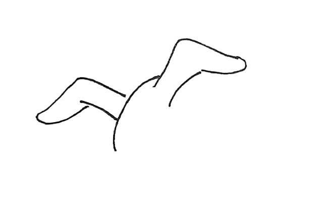 海鸥怎么画 涂色的海鸥简笔画步骤