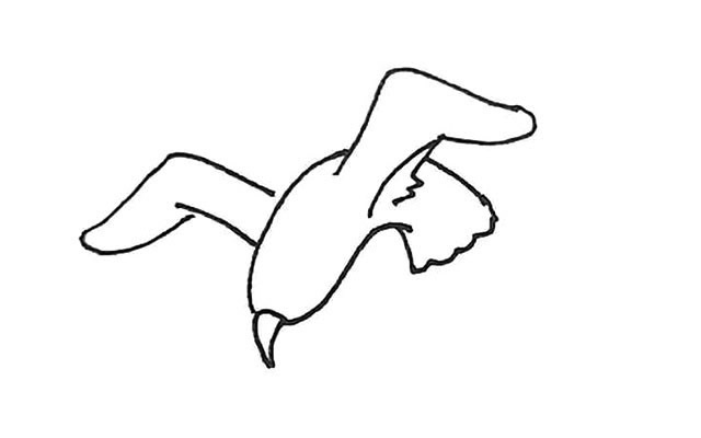 海鸥怎么画 涂色的海鸥简笔画步骤