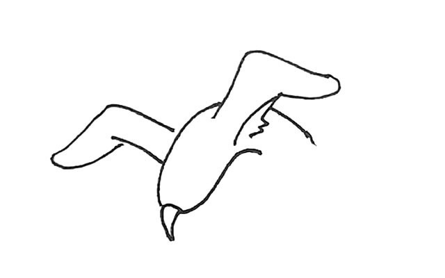 海鸥怎么画 涂色的海鸥简笔画步骤