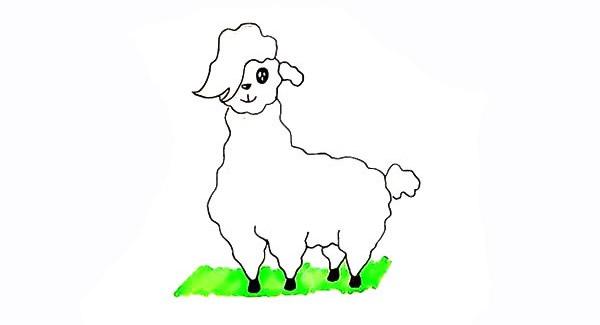 简单的羊驼画法步骤 简单的羊驼画法步骤