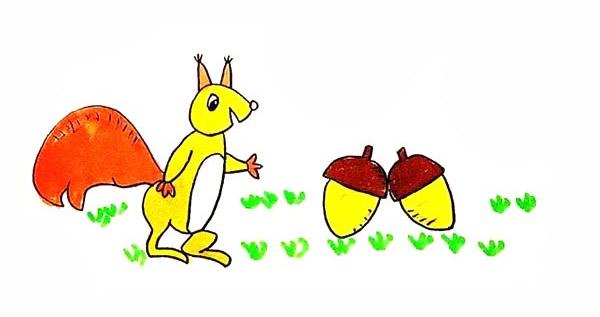 喜欢吃坚果的松鼠简笔画步骤