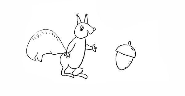 喜欢吃坚果的松鼠简笔画步骤