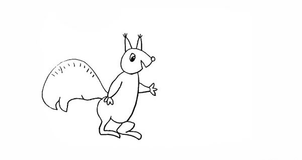 喜欢吃坚果的松鼠简笔画步骤