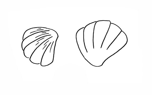 带颜色的漂亮贝壳简笔画教程