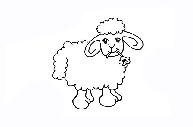 嘴里叼着花的小绵羊简笔画 嘴里叼着花的小绵羊简笔画