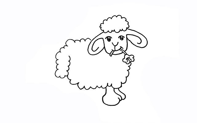 嘴里叼着花的小绵羊简笔画 嘴里叼着花的小绵羊简笔画