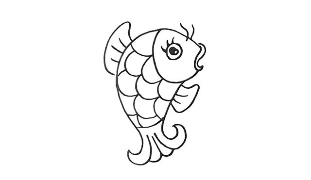 鲤鱼怎么画 漂亮的彩色鲤鱼简笔画 鲤鱼怎么画 漂亮的彩色鲤鱼简笔画