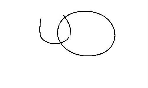 一步步教你画简单的绵羊带涂色