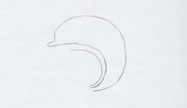 涂色的海豚简笔画步骤 涂色的海豚简笔画步骤