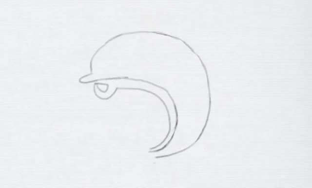 涂色的海豚简笔画步骤 涂色的海豚简笔画步骤