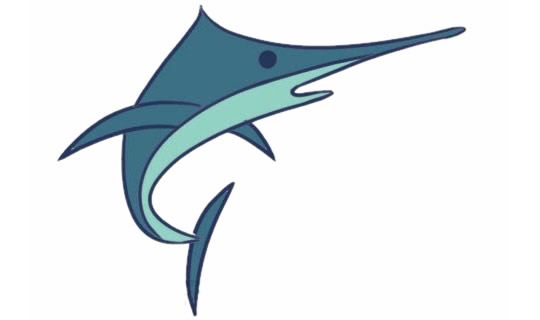 剑鱼简笔画步骤教程【涂色】(剑鱼简笔画步骤教学)