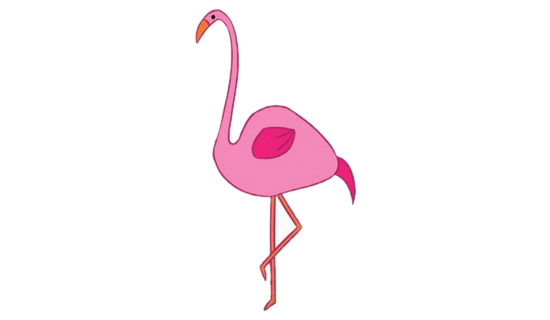 涂色的火烈鸟简笔画教程
