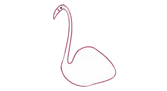 涂色的火烈鸟简笔画教程