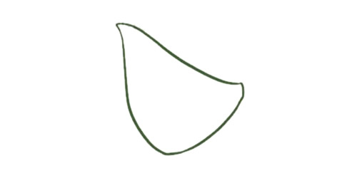 蜥蜴简笔画步骤教程【涂色】