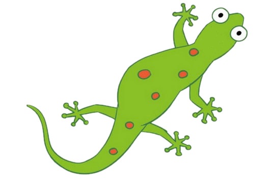 蜥蜴怎么画简单又好看(蜥蜴怎么画一步一步教)