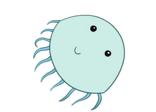 水母怎么画简单又可爱(水母怎么画简单又漂亮用马克笔画)