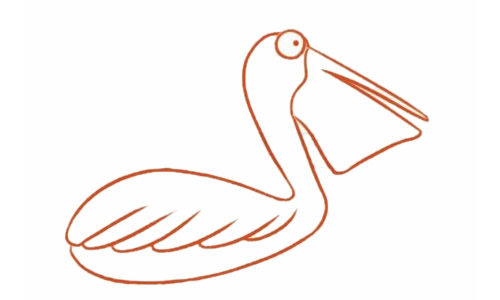 鹈鹕简笔画步骤教程【涂色】