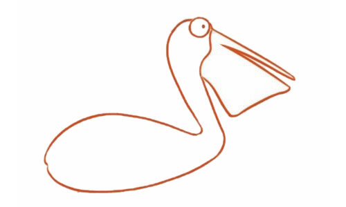 鹈鹕简笔画步骤教程【涂色】