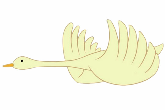 飞翔的天鹅简笔画(飞的天鹅的简笔画)