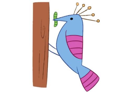 吃虫子的啄木鸟简笔画(啄木鸟吃的虫子是什么虫)