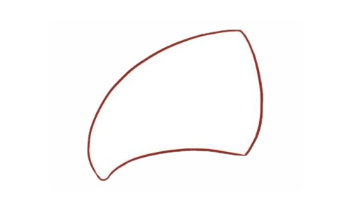 一步步教你画彩色的鹦鹉