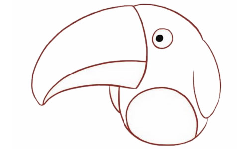 一步步教你画彩色的鹦鹉