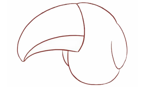 一步步教你画彩色的鹦鹉