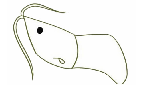 绿色卡通小虾简笔画步骤