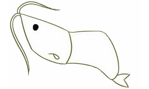 绿色卡通小虾简笔画步骤