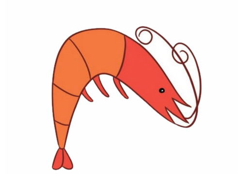 红色小虾简笔画(红色的小虾子)