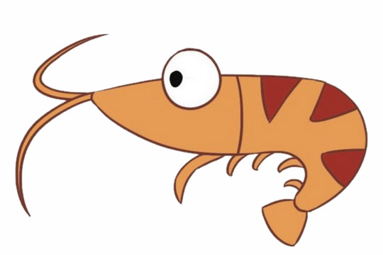 关于大虾的简笔画(简笔画大虾的简单画法)