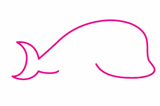 蓝鲸简笔画步骤教程