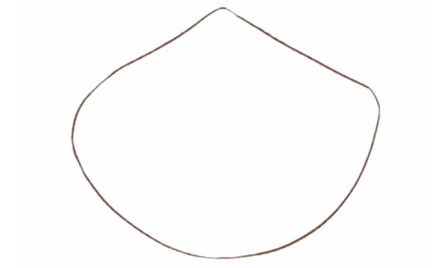 涂色的贝壳简笔画教程