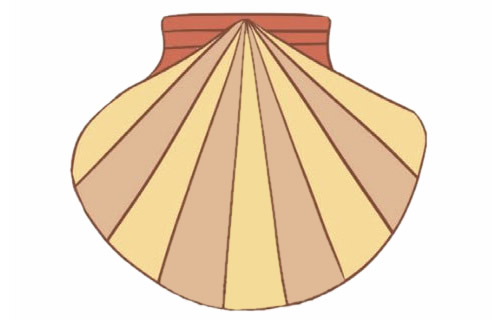 涂色的贝壳简笔画教程(涂色的贝壳简笔画图片)