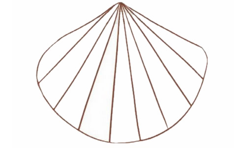 涂色的贝壳简笔画教程